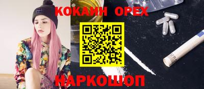 прущие грибы Ливны