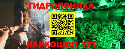 a pvp Лесосибирск