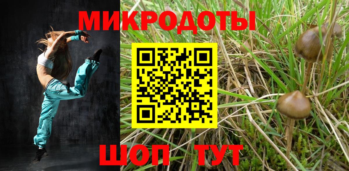 Галлюциногенные грибы мухоморы Будённовск