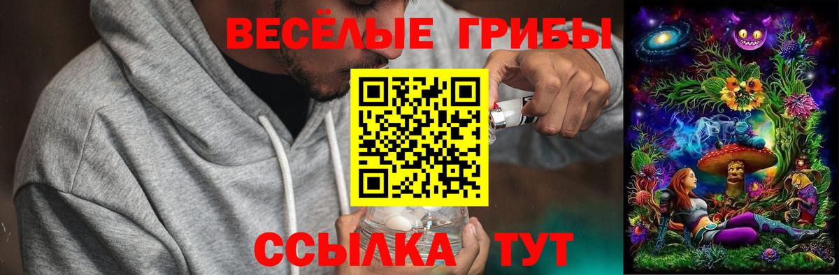 Псилоцибиновые грибы Cubensis  Вход с VPN  Будённовск 