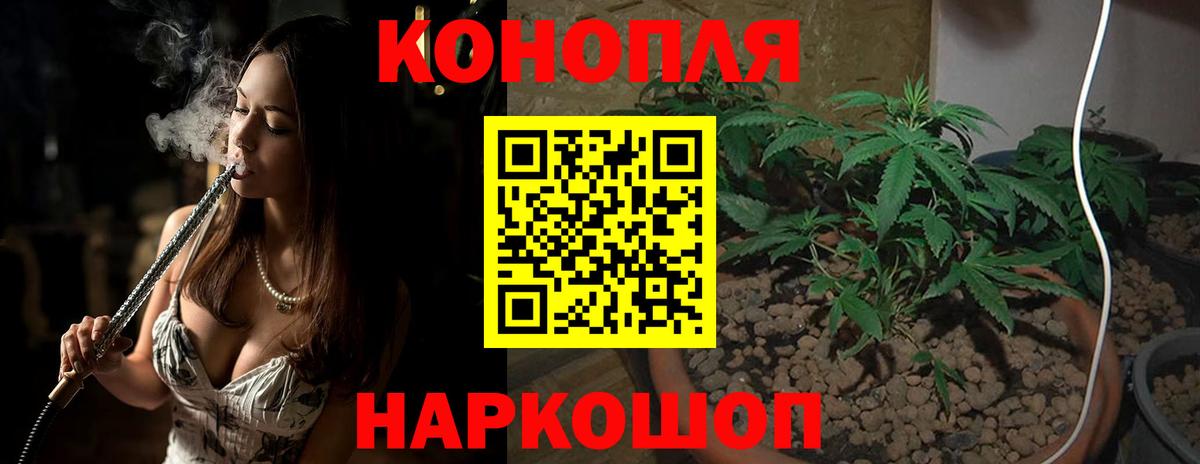 Шишки марихуана ГИДРОПОН  Марихуана AK-47  Вход с VPN  Будённовск  Канабис Amnesia  Шишки марихуана White Widow 